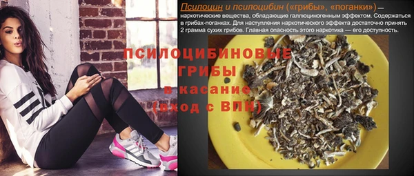 тгк Абдулино