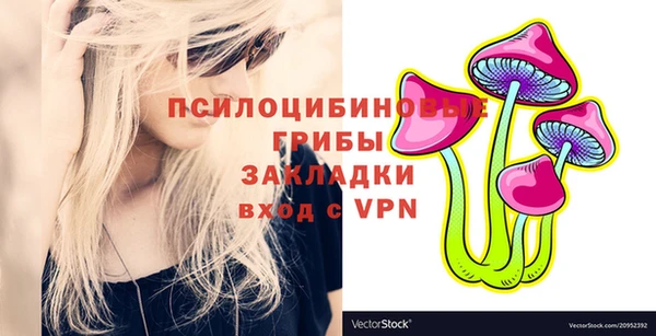 амф Абаза