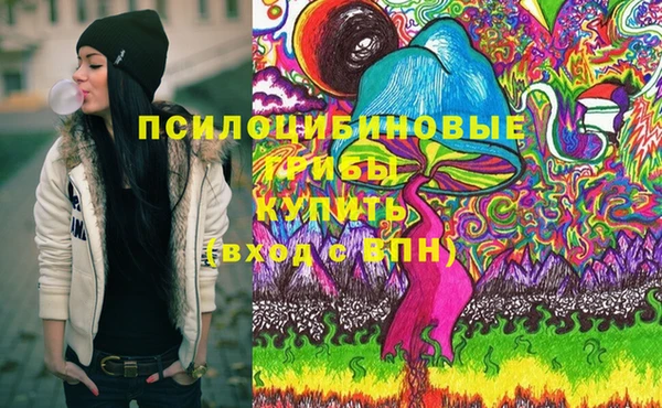 амф Алексин