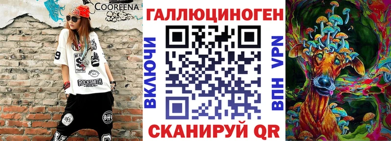 Галлюциногенные грибы Psilocybine cubensis  Дубна 